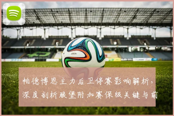 帕德博恩主力后卫停赛影响解析，深度剖析狼堡附加赛保级关键与前景