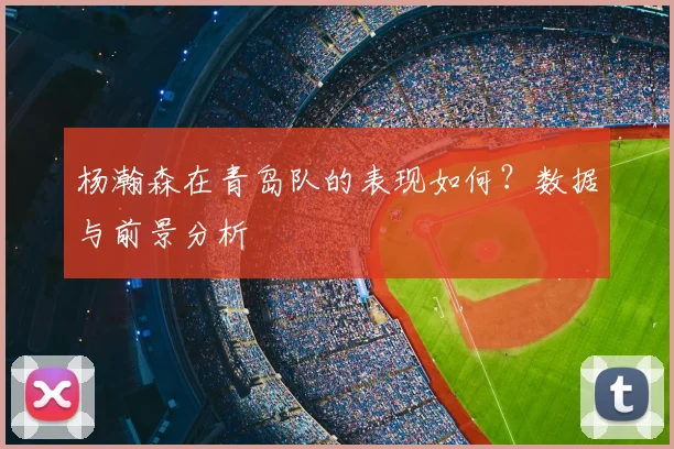 杨瀚森在青岛队的表现如何？数据与前景分析